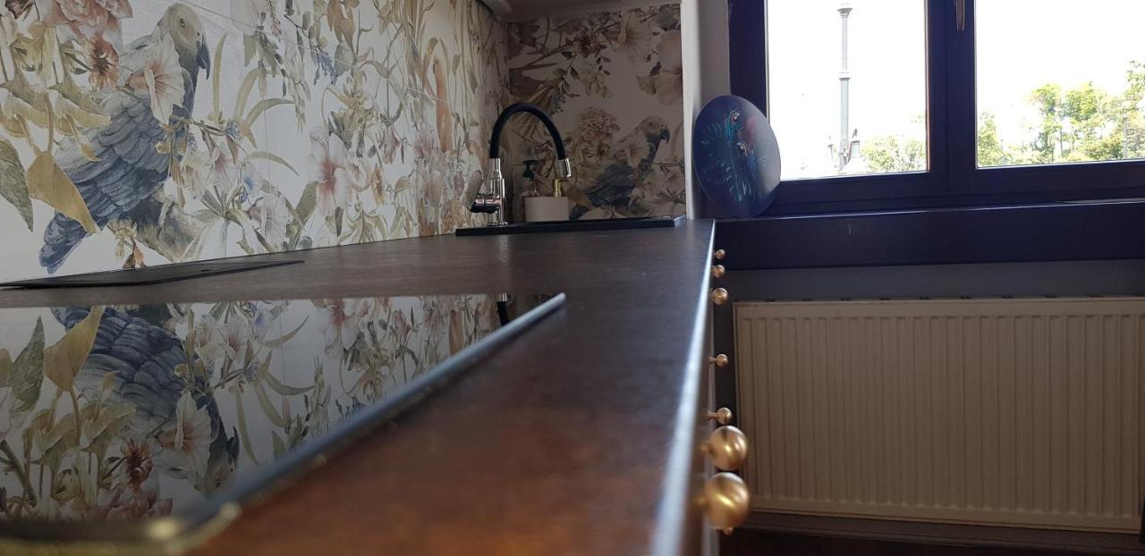 Astronomiczny Apartament , Mieszkanie 2 Pokojowe. Parking. Stary Toruń Εξωτερικό φωτογραφία